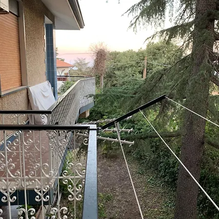 La Di Flora Singola Monterosso Etneo Fleri